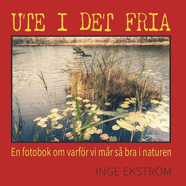 bokomslag Ute i det fria