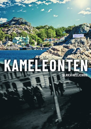 bokomslag Kameleonten