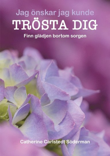bokomslag Jag önskar jag kunde trösta dig : finn glädjen bortom sorgen