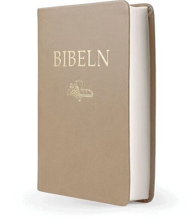 Svenska Folkbibeln - Bibeln SFB 2015, kompakt, brun skinnimitation, Inbunden