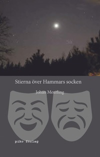 bokomslag Stierna över Hammars socken