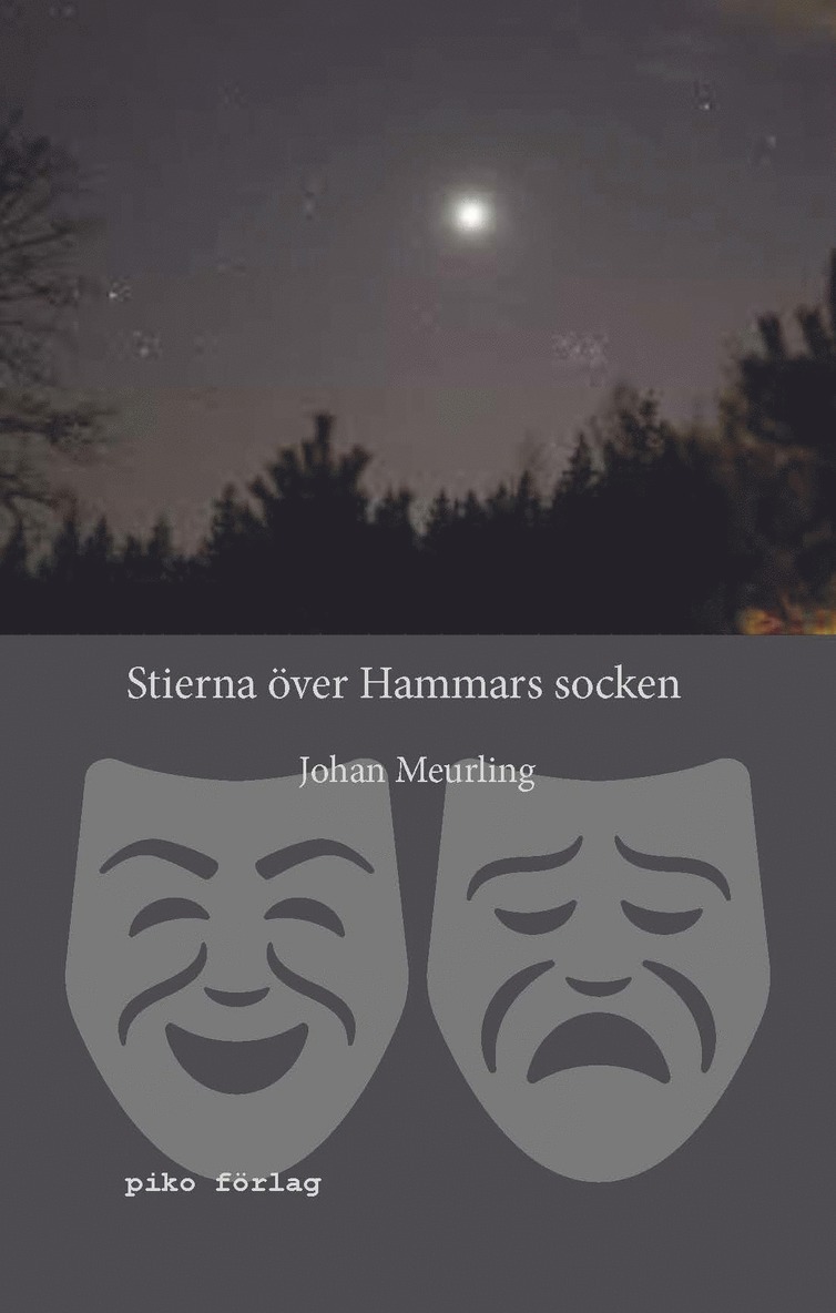 Johan Meurling - Stierna över Hammars socken, Inbunden