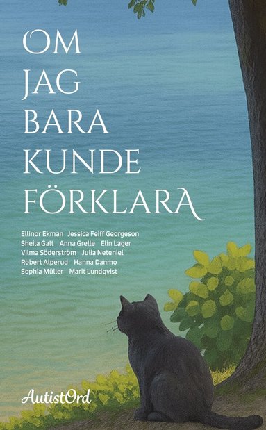 Vilma Söderström, Sophia Müller, Marit Lundqvist, Julia Neteniel, Anna Grelle, Elin Lager, Sheila Galt, Jessica Feiff Georgeson, Ellinor Ekman, Hanna Danmo, Robert Alperud - Om jag bara kunde förklara, Häftad