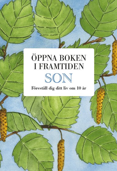 Mats Billmark, Susan Billmark - Son : öppna boken i framtiden, Kartonnage