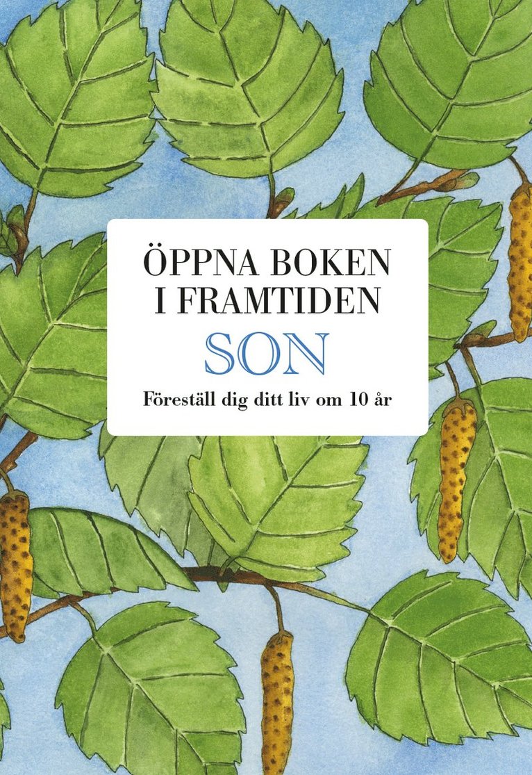 Mats Billmark, Susan Billmark - Son : öppna boken i framtiden, Kartonnage