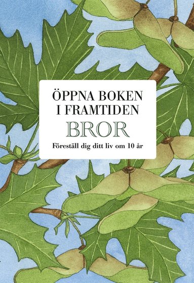 Mats Billmark, Susan Billmark - Bror : öppna boken i framtiden, Kartonnage