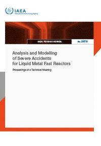 bokomslag Analysis and Modelling of Severe Accidents for Liquid Metal Fast Reactors