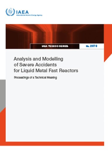 IAEA - Analysis and Modelling of Severe Accidents for Liquid Metal Fast Reactors, Häftad