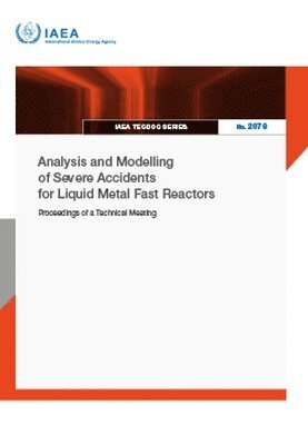 bokomslag Analysis and Modelling of Severe Accidents for Liquid Metal Fast Reactors