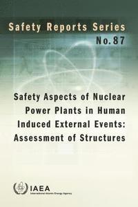 bokomslag Safety Aspects of Nuclear Power Plants in Human Induced External Events: Assessment of Structures