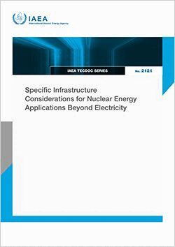 IAEA - Specific Infrastructure Considerations for Nuclear Energy Applications Beyond Electricity, Häftad