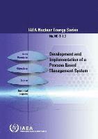 bokomslag Development and implementation of a process based management system