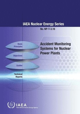bokomslag Accident monitoring systems for nuclear power plants