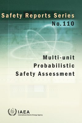 Multi-unit Probabilistic Safety Assessment 1