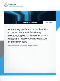 bokomslag Advancing the State of the Practice in Uncertainty and Sensitivity Methodologies for Severe Accident Analysis in Water Cooled Reactors of the BWR Type