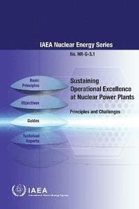 bokomslag Sustaining Operational Excellence at Nuclear Power Plants