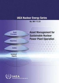 bokomslag Asset Management for Sustainable Nuclear Power Plant Operation