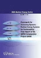 bokomslag Framework for assessing dynamic nuclear energy systems for sustainability