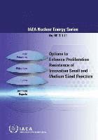 Options to enhance proliferation resistance of innovative small and medium sized reactors 1