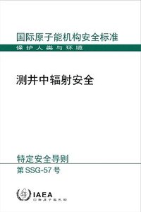 bokomslag Radiation Safety in Well Logging