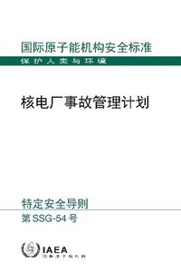 bokomslag Accident Management Programmes for Nuclear Power Plants (Chinese Edition)