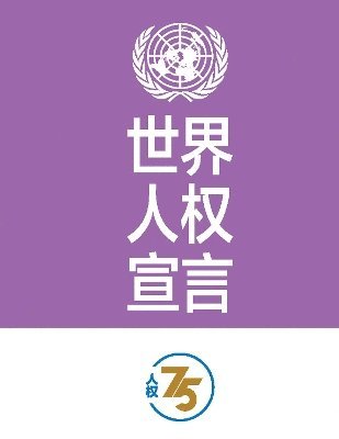 bokomslag Universal Declaration of Human Rights (Chinese Edition)