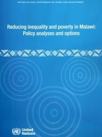bokomslag Reducing Inequality and Poverty in Malawi: Policy Analyses and Options