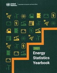 bokomslag UN Energy Statistics Year Book 2021
