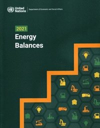 bokomslag 2021 Energy Balances