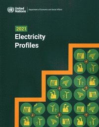 bokomslag 2021 Electricity Profiles