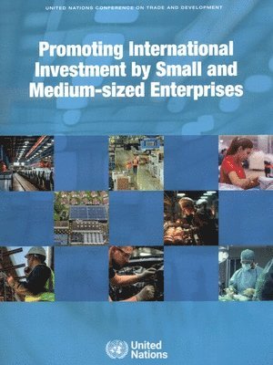 Promoting International Investment by Small and Medium-sized Enterprises 1