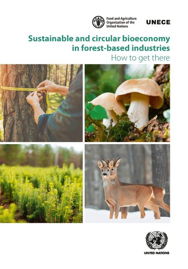 United Nations Economic Commission for Europe - Sustainable and Circular Bioeconomy in Forest-based Industries, Häftad
