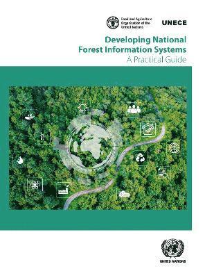 bokomslag Developing National Forest Information Systems