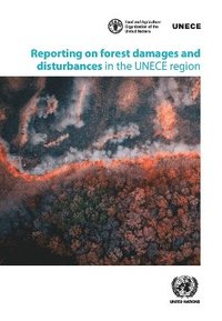 bokomslag Reporting on Forest Damages and Disturbances in the Unece Region