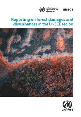 bokomslag Reporting on Forest Damages and Disturbances in the UNECE Region