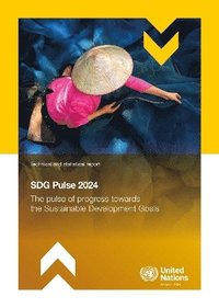 bokomslag SDG Pulse 2024