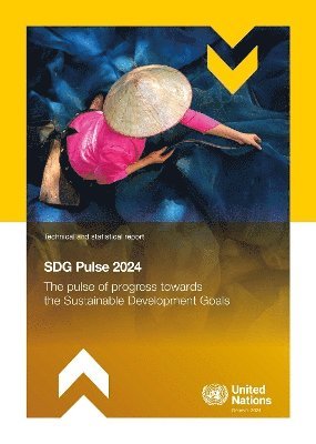 SDG Pulse 2024 1