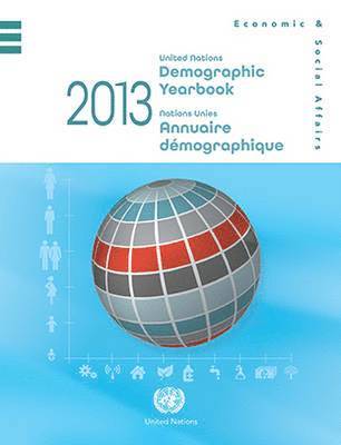 bokomslag Demographic yearbook 2013