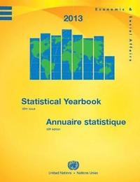 bokomslag Statistical yearbook 2013