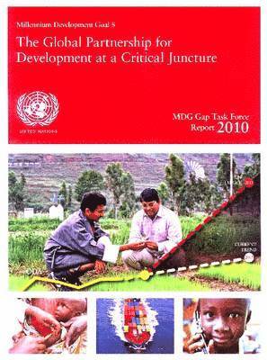 bokomslag MDG Gap Task Force Report