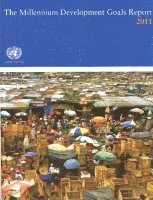 bokomslag Millennium Development Goals Report