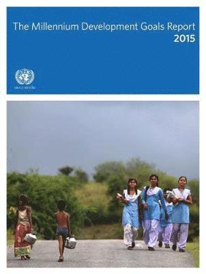 United Nations: Department of Economic and Social Affairs, United Nations Publications - Millennium Development Goals Task Force report 2015, Häftad