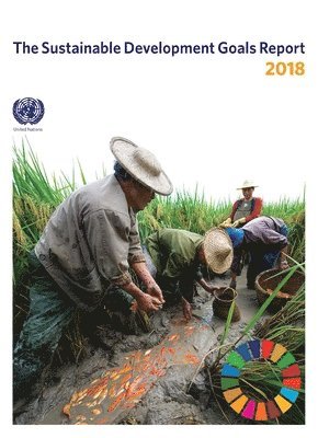 United Nations: Department for Economic of Social Affairs, United Nations Publications - sustainable development goals report 2018, Häftad