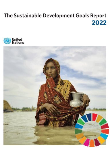 United Nations: Department of Economic and Social Affairs, United Nations Publications - sustainable development goals report 2022, Häftad