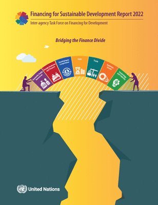 bokomslag Financing for sustainable development report 2022