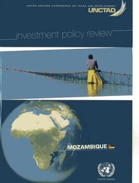 bokomslag Investment Policy Review