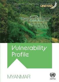 bokomslag Vulnerability profile