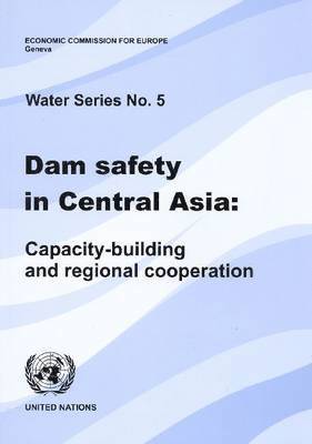 bokomslag Dam Safety in Central Asia