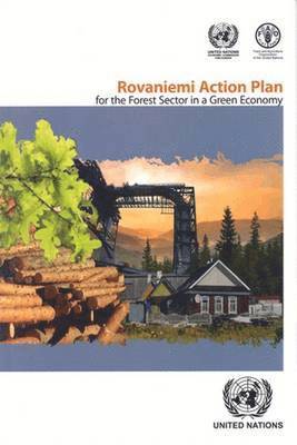 bokomslag The Rovaniemi Action Plan for the forest sector in a green economy