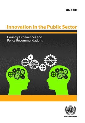 bokomslag Innovation in the public sector